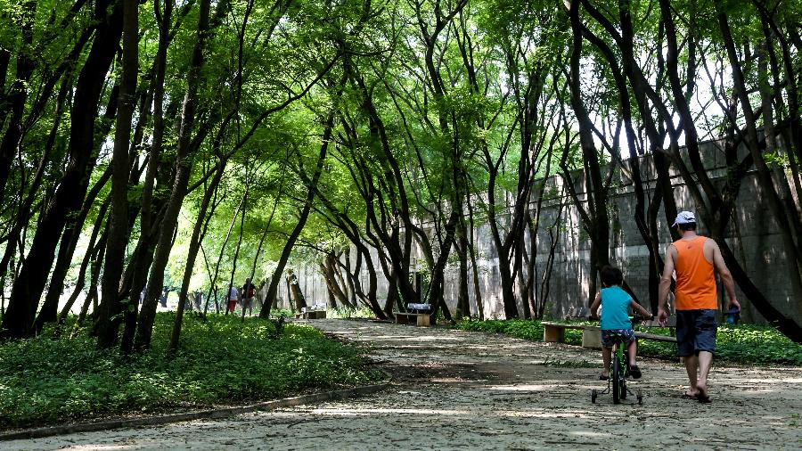 Parque da Juventude, na Zona Norte de São Paulo, é um dos que voltarão a abrir aos finais de semana - Divulgação