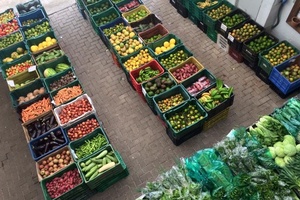 Instituto Chão - Divulgação - Divulgação