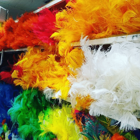 Plumas - Divulgação / Babado da Folia - Divulgação / Babado da Folia