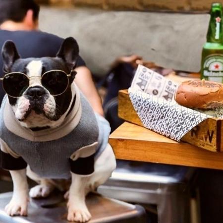 No Raw Burger, cachorros podem acompanhar seus donos durante as refeições - Divulgação