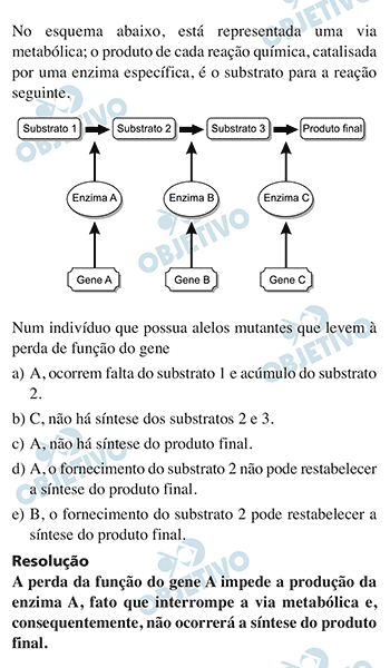 UOL Vestibular Correção