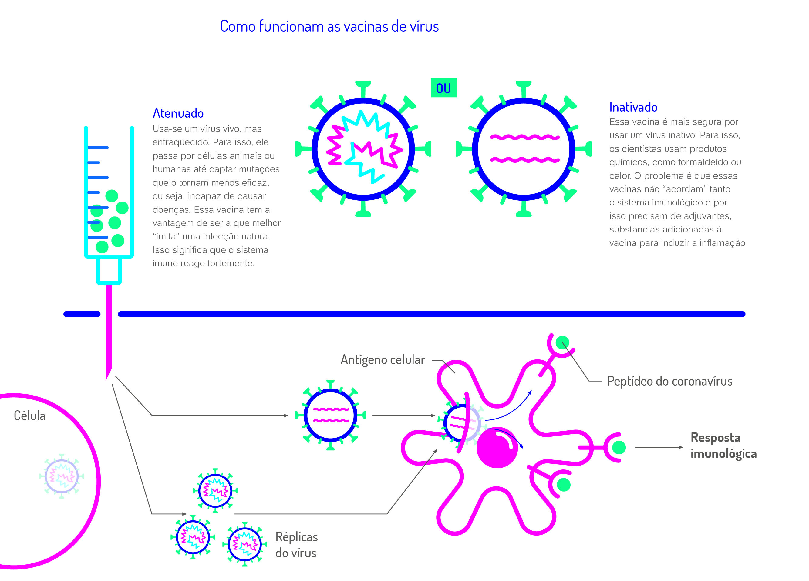Qual A Diferença Básica Entre Soros E Vacinas