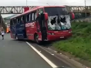 Palmeiras repudia ataque da Mancha e pede punição rigorosa para criminosos