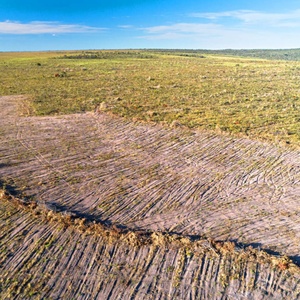 Entenda os vetos derrubados da lei do licenciamento ambiental