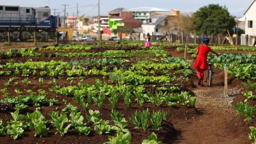 Uma horta comunitária, em Curitiba. E se o Brasil fosse conhecido como o país das microtransformações? Uma horta comunitária, em Curitiba. E se o Brasil fosse conhecido como o país das microtransformações?
