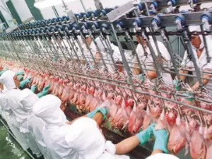 China abre 5 novos mercados a produtos agropecuários do Brasil, diz Fávaro