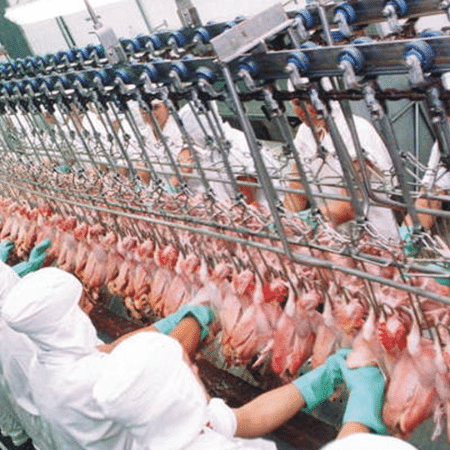 Miúdos de aves estão na lista de produtos brasileiros liberados para importação pela China Miúdos de aves estão na lista de produtos brasileiros liberados para importação pela China