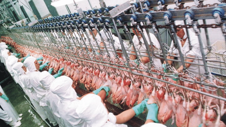 O Itamaraty disse que a UE impõe controles sanitários "discriminatórios" para a detecção de salmonela nas carnes de frango salgada e de peru com pimenta - Canal Rural