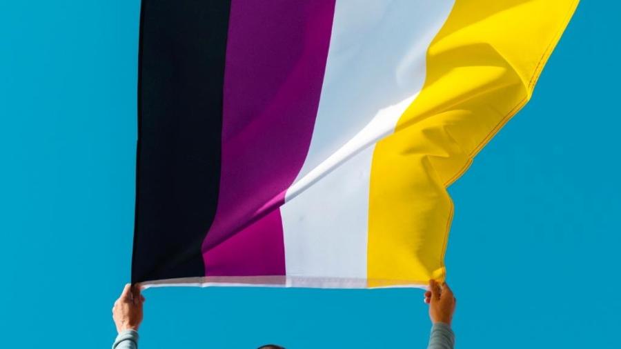 Bandeira com as cores que representam não-binários - iStock