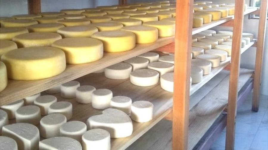 Brasileiros venceram concurso de queijos na França - Arquivo pessoal