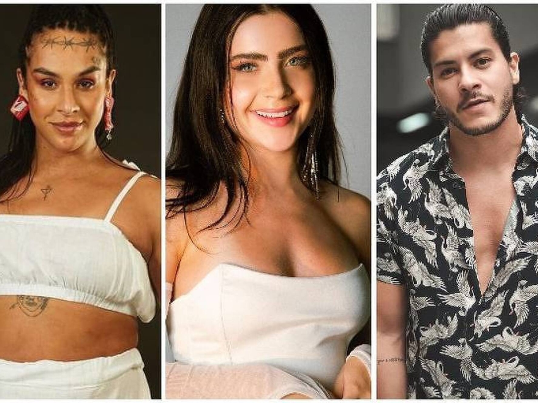 Linn, Arthur e Jade chegam ao BBB amanhã de manhã; saiba mais