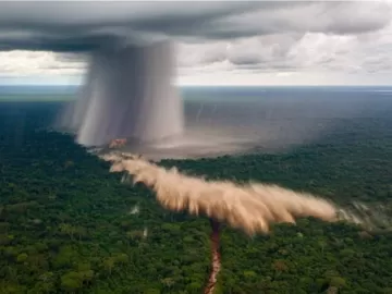 O que é microexplosão, fenômeno que está derrubando árvores na Amazônia