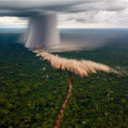 Microbust, ventos extremos que derrubam árvores na Amazônia