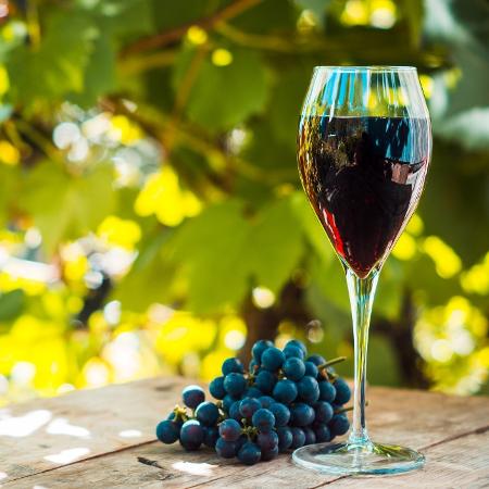 Cerca de 90% das regiões vinícolas tradicionais correm o risco de desaparecer