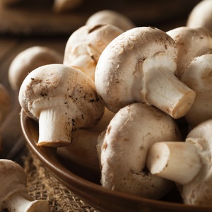 Kit Cogumelos (Paris/ Shitake/ Shimeji/ Portobello/ Porcini) - Ingredientes  Santa Vita