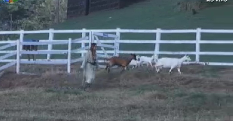 Nicole Bahls recolhe cabras durante a tarde (9/6/12)