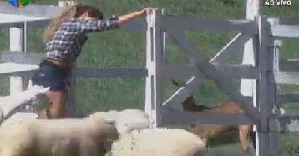 Viviane Araújo grita com ovelhas para que elas saiam da porteira (9/7/12)