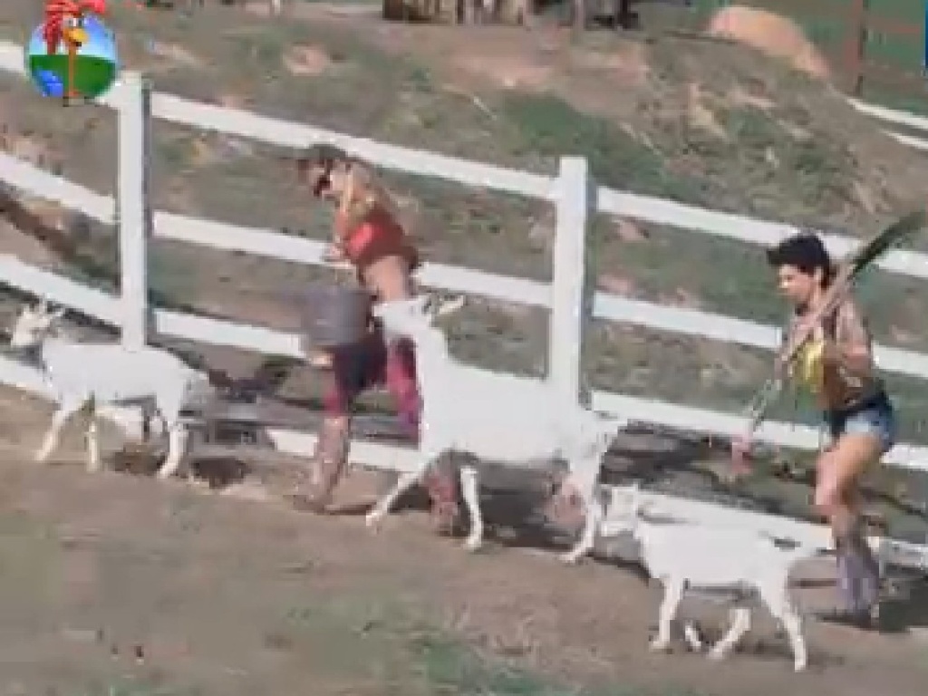 Cabras seguem Robertha Portella e Penélope Nova no pasto (11/7/12)