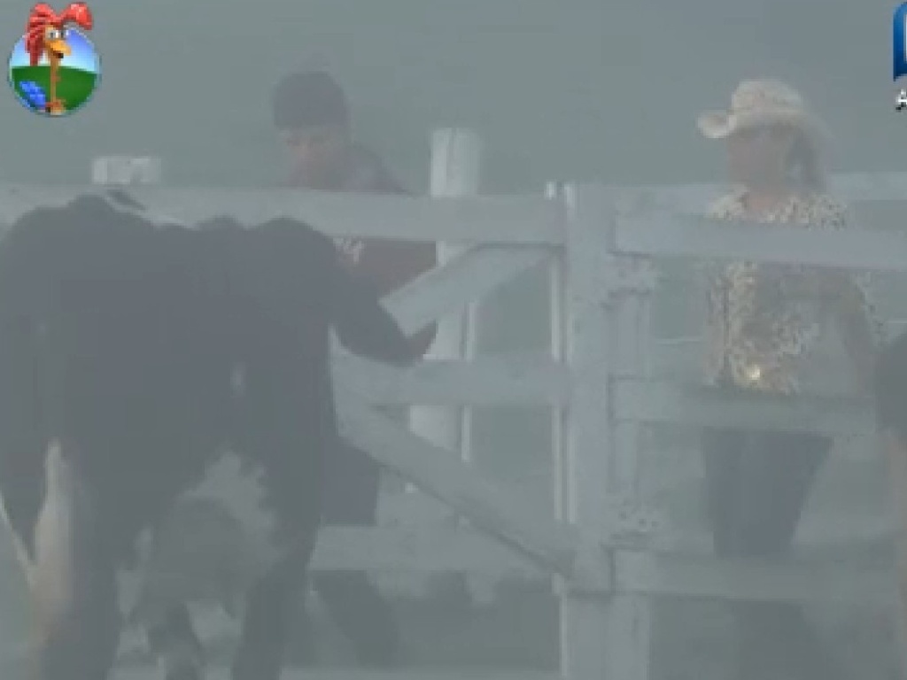 Em meio a forte neblina, peões começam a cumprir tarefas na manhã desta sexta-feira (13)
