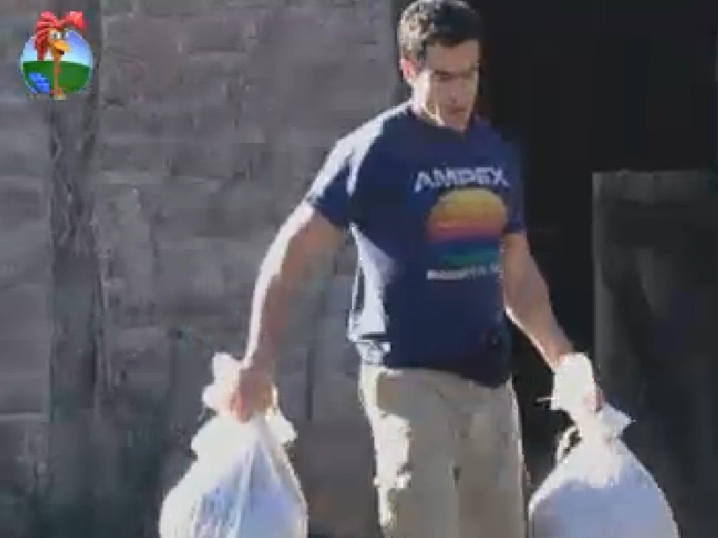 Felipe Folgosi carrega sacos com serragem depois de limpar a área dos cavalos (15/7/12)