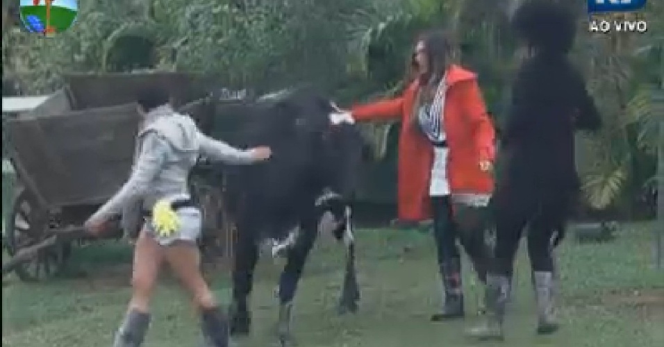 Penélope Nova, Nicole Bahls e Simone Sampaio correm atrás da vaca Babi, que fugiu da área dos animais (20/7/12)