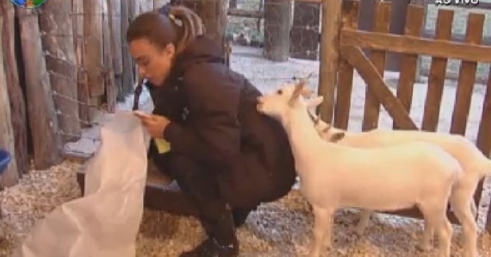 Cabras mordem casaco de Nicole Bahls enquanto modelo limpa a área dos animais (23/7/12)
