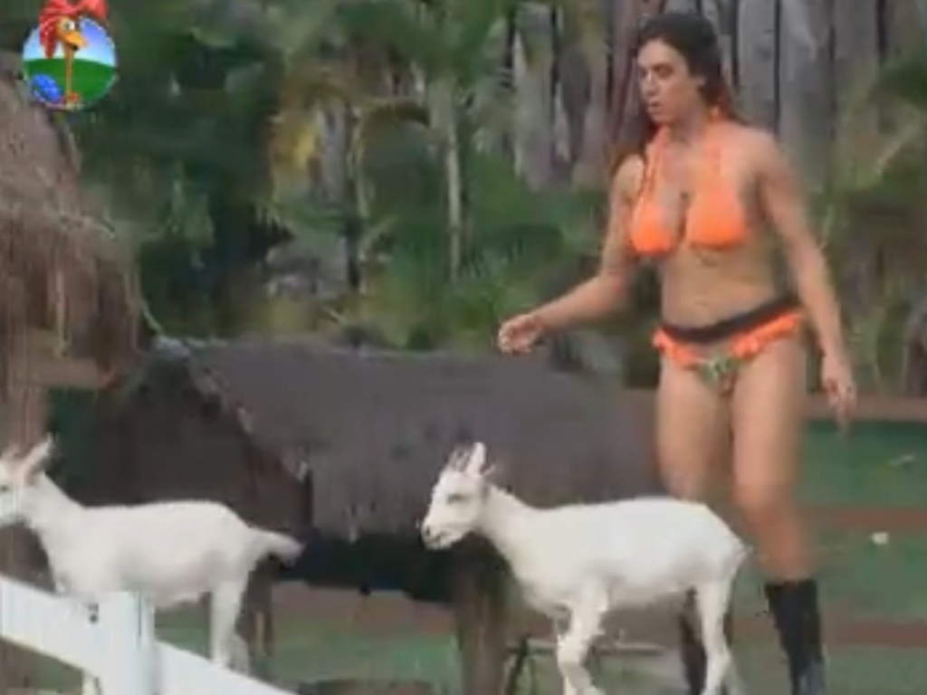 De biquíni laranja, Nicole Bahls leva cabras para cercado (31/7/12)