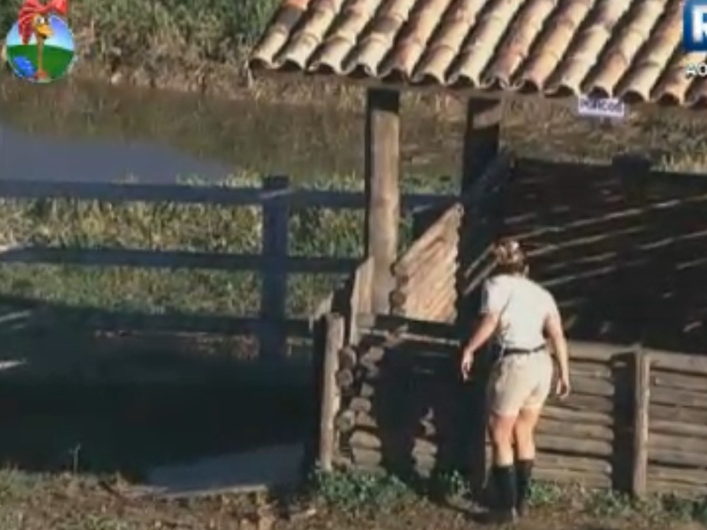 Viviane Araújo manda beijo para porcos enquanto se prepara para cuidar das cabras (13/8/12)