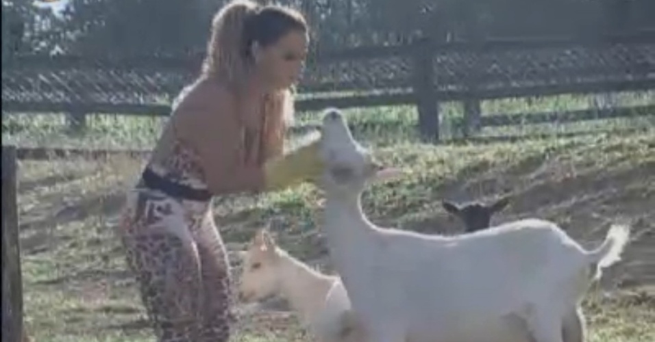 Viviane Araújo brinca com as cabras enquanto cuida da área dos porcos (21/8/12)