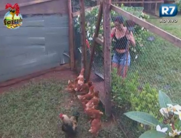 Flavia cuida das galinhas em seu primeiro dia de tarefas como Formiga