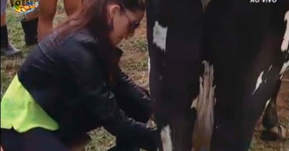 Nuelle ordenha vaca durante atividade