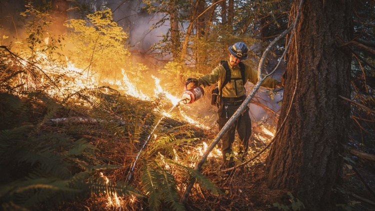 Aos poucos, povos indígenas dos Estados Unidos têm conseguido recuperar sua tradição de usar fogo para cuidar da terra