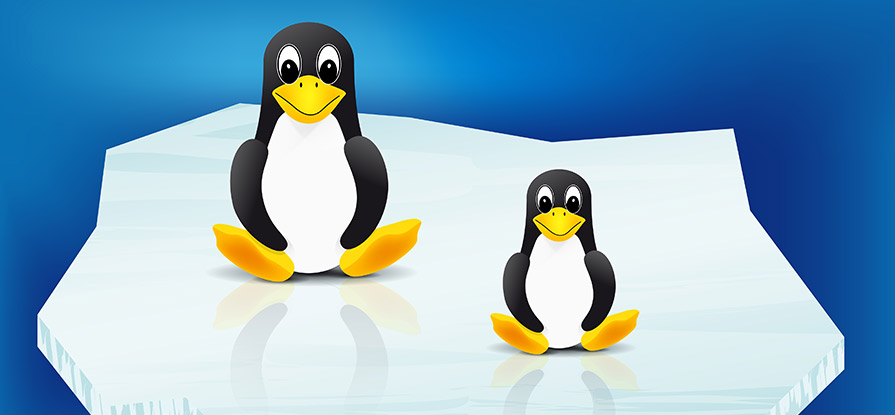 Linux: o pingüim é mesmo à prova de vírus?